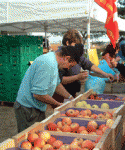 a1554685dc979656d2e4f8bdc01dfa5e.gif